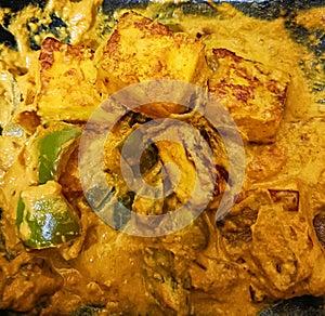 A close up shot of Paneer Tikka Masala, one of the popular vegetarian cuisines in India.