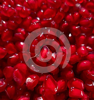 close up shot of pomegranate seeds