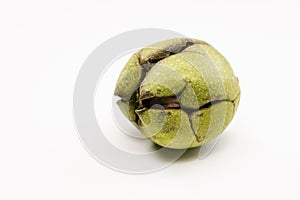 Close up shot of a raw wallnut