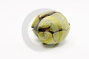 Close up shot of a raw wallnut