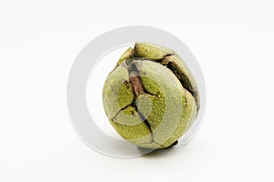 Close up shot of a raw wallnut