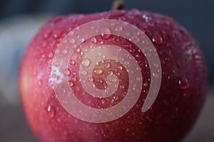 Close up shot of red apple with water droplets