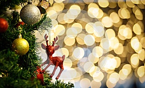 Close up shot of red glossy Christmas eve decor items hanging decorating on green Xmas pine tree branch with sphere balls and