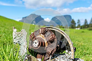 Close-up shot of remnants of the old Consolidated PBY Catalina plane that crashed on Lord Howe Island