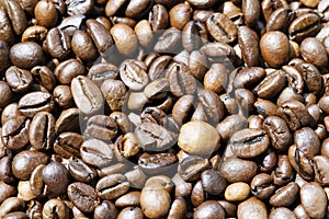 Close up shot of roasted coffee beans
