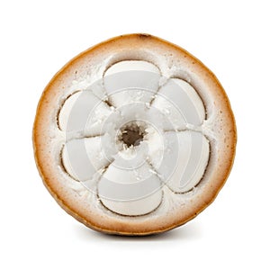 Santol Fruit Cross Section