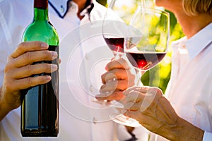 Close-up shot of senior couple drinking red wine