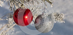 Close up shot of shiny red and glittering white Christmas balls hanging off a Christmas fir tree outside, partially covered in