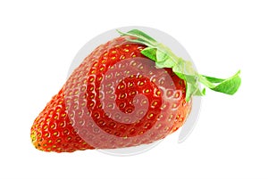 Close up shot of single fresh ripe strawberry