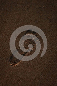 Close-up shot of a single human footprint in the sand