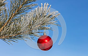 Close up shot of a single red shiny Christmas ball decoration hanging off a Christmas fir tree outside, partially covered in snow