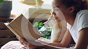 Close-up shot of smart African American woman reading book in free time lying on bed with her pedigree dog with large