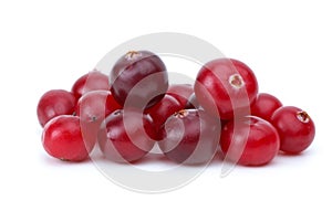 Close-up shot of some cranberries