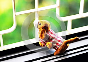 A close-up shot of a stuffed dog looking out of the window in a lonely mood.