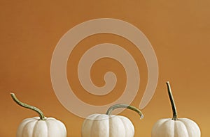 Close up shot of three baby boo pumpkins isolated on bright background