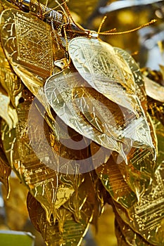 Close up shot of traditional Thai tree with golden leaf for donation in Chang Mai temple, Thailand.