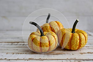 Close up shot of two decorative pumpkins on grunged wood texture background bright as a symbol of autumnal holidays with a lot of