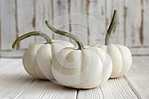 Close up shot of two decorative pumpkins on grunged wood texture background bright as a symbol of autumnal holidays with a lot of