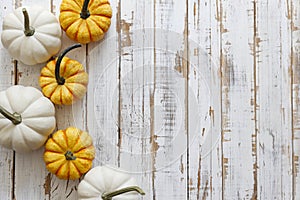 Close up shot of two decorative pumpkins on grunged wood texture background bright as a symbol of autumnal holidays with a lot of