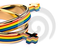 Close up shot on two lesbian female wedding rings on white background. Lesbian marriages issue concept. 3D rendering photo