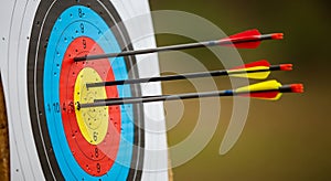 Three Arrows Hitting Archery Target