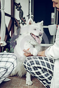 Close-up shot of a white dog giving a paw