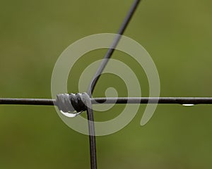 close up shot of wire with water droplets hanging on it