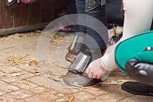 Close-up shot of a woman putting gaiters on a horse