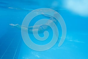 Close-up shot of a woman swimming underwater in the pool.