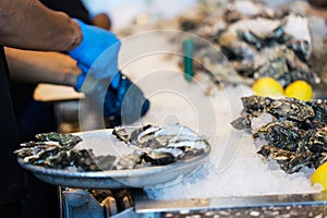 Close-up of shucking oysters