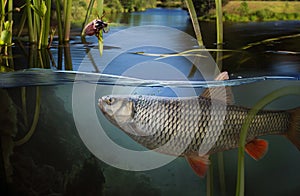 Close-up shut of a fish hook under water photo