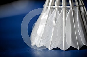 Close-up of shuttle badminton