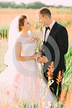 The close-up side portrait of the newlyweds holding the wheatear among wheats.