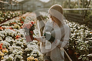 Close up side profile photo beautiful adorable she her lady many roses seller hands arms check flowers condition pulverize water