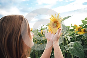 Close up side view of Caucasian woman holding sunflower in farm during spring season