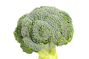 Close up, side view of a fresh, healthy organic broccoli head, isolated on white background