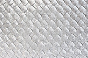 Close up of Silver leather