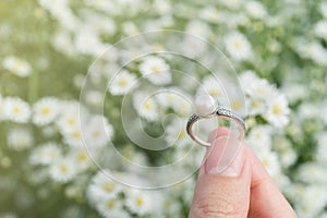 Close-up of silver and pearl.wedding rings over beautiful small white flowers garden