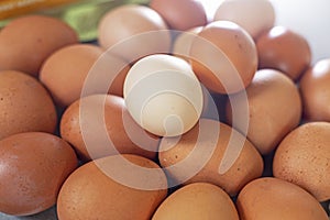 close-up of a simple light brown egg lies on top of brown eggs. Preparation for the holiday