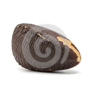 Brazil nut isolated on white background