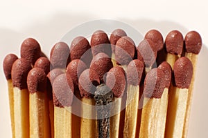 Close-up of a single burnt match in a group of matches. Clipping pass