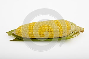 Close up , Single ear of corn isolated on white background