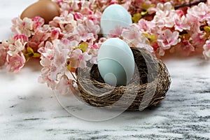 Close up of a single egg in bird nest for Happy Easter concept with springtime cherry blossoms in background