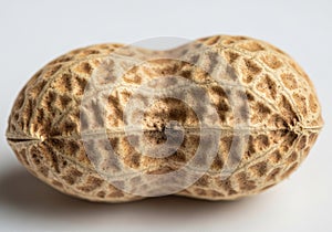 Close up of a single peanut in its shell on a white background
