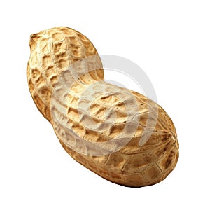 Close-up of a Single Peanut Shell