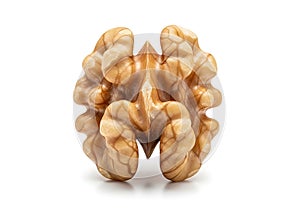 Close up of a single perfectly halved walnut kernel on a white background
