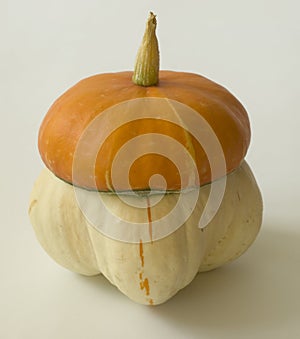 Close-up of a single pumpkin