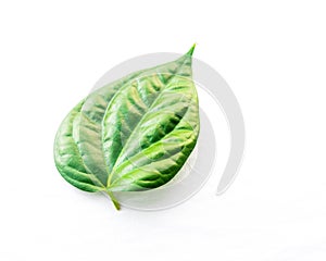 Close-up single raw betel leaf or paan isolated on white