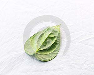 Close-up single raw betel leaf or paan isolated on white