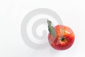 Close up of single red apple with leaves on white background